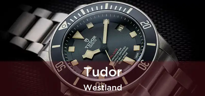 Tudor Westland