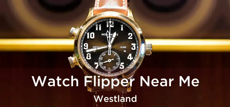 Watch Flipper Near Me Westland